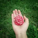 1753265320311.webp