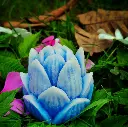 1753263952778.webp