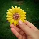1754117113482.webp