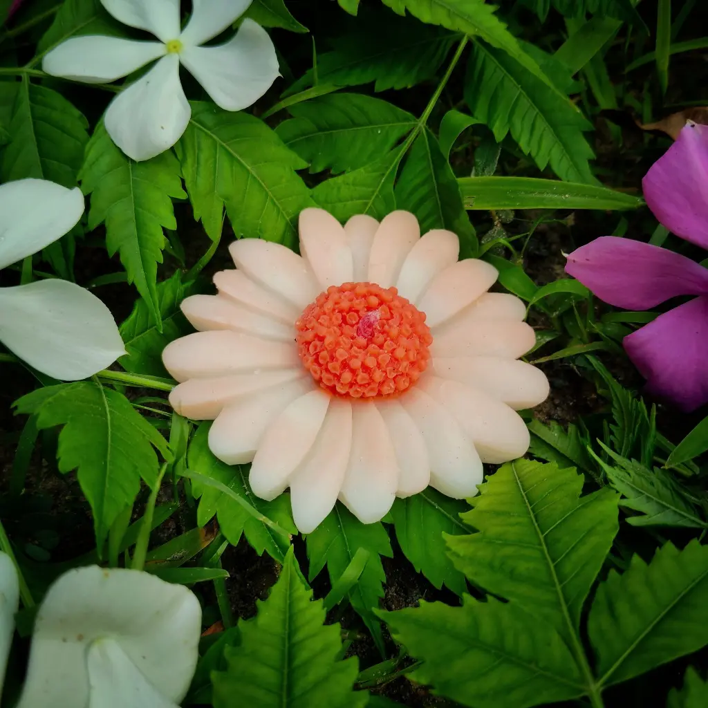 1754116551908.webp
