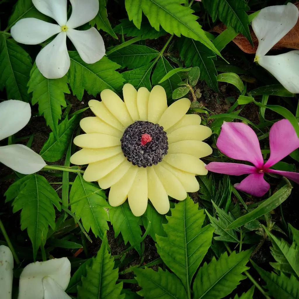 1754116855399.webp