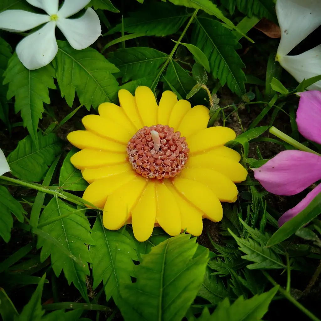 1754116910819.webp