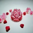 Lotus Rouge