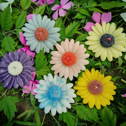 Daisy Daze